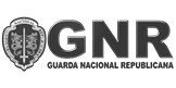logo gnr